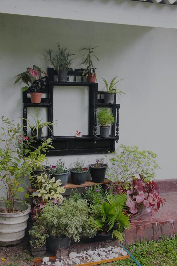 Coco Home نيجومبو المظهر الخارجي الصورة