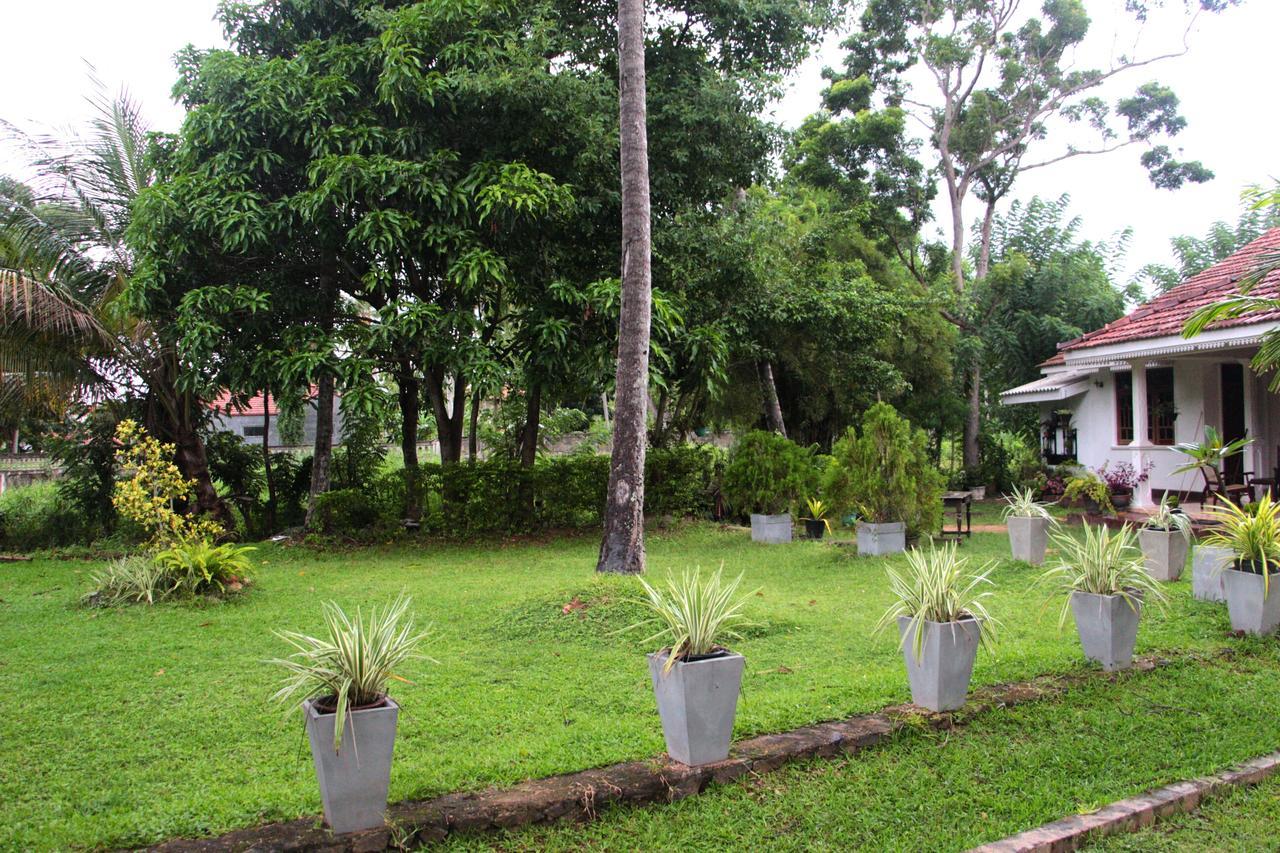 Coco Home نيجومبو المظهر الخارجي الصورة